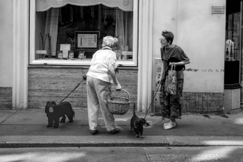 Wiener Straßen erzählen Geschichten