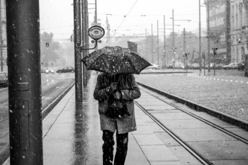 Wiener Straßen erzählen Geschichten