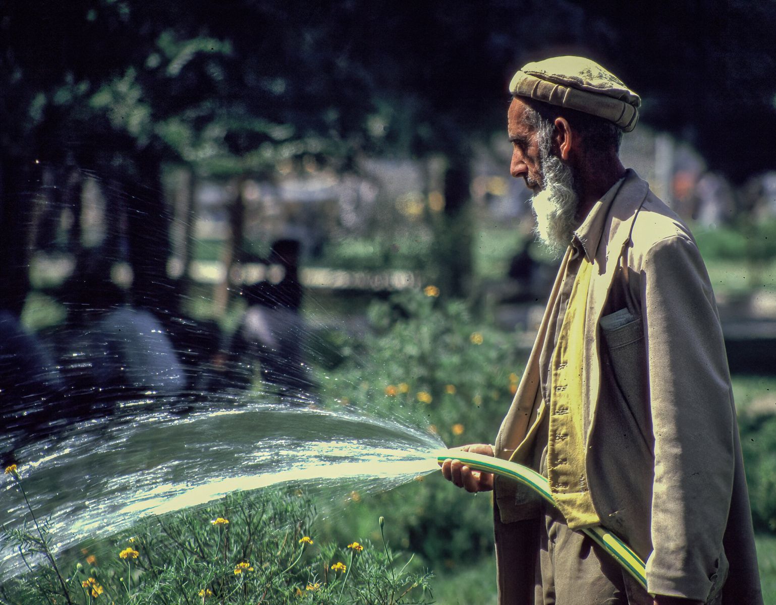 Gärtner bei der Arbeit. In Afghanistan herrscht ständig Wasserknappheit