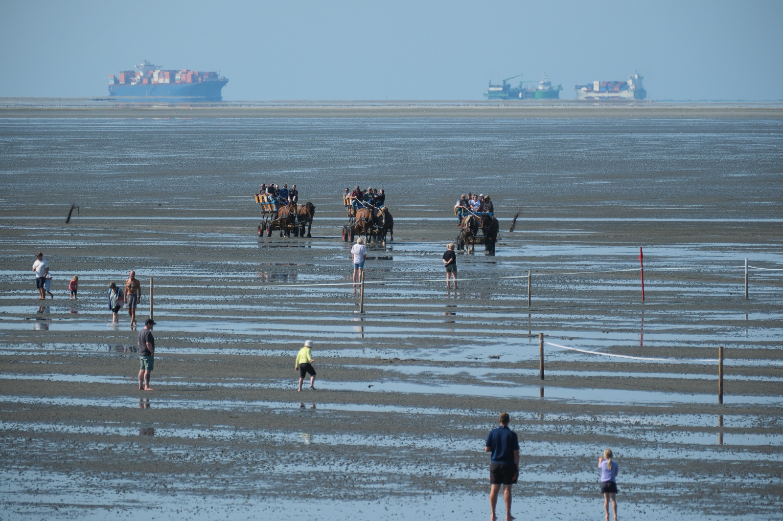 Pferdetaxis bieten im Wattenmeer Rundfahrten im Watt oder auch Fahrten zur Elbeinsel Neuwerk an.