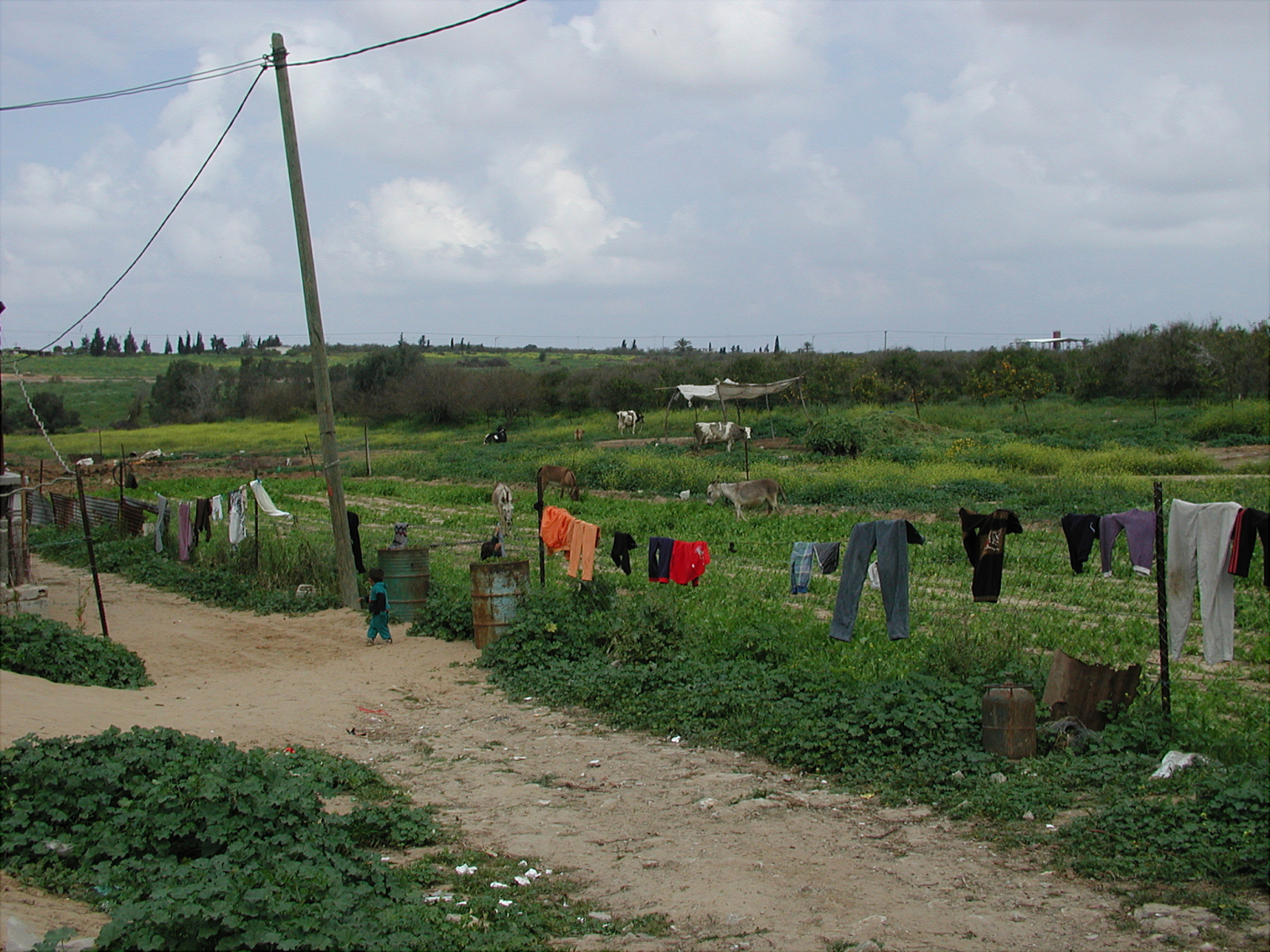 2003 - 2. Intifada auf dem Höhepunkt - Gaza im-Grünen- Ein kleiner Grünstreifen zwischen Mittelmehr und dicht besiedeltem Gebiet