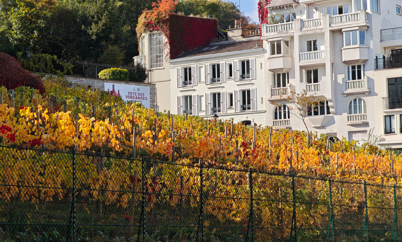 Clos Montmartre -
