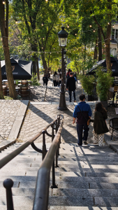 Das Bild zeigt die malerische Rue Foyatier-Treppe im Pariser Stadtteil Montmartre. Die berühmte Treppe mit 222 Stufen führt vom unteren Teil des Hügels bis zur Sacré-Cœur-Basilika. Direkt neben ihr verläuft die Standseilbahn Funiculaire de Montmartre, die einen bequemen Aufstieg bietet.