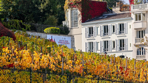 Der letzte Weinberg!