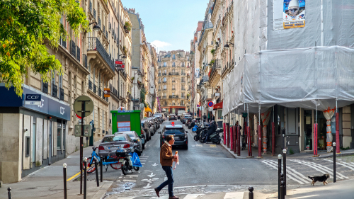 Ohne Leine seinem Herrn voraus 