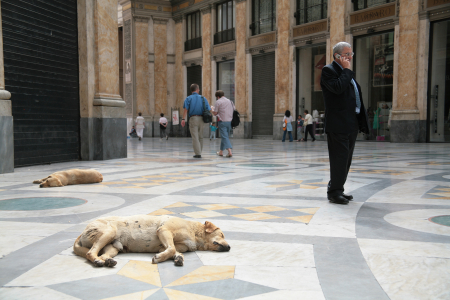 die Galleria Umberto I, eine bekannte, überdachte Einkaufsgalerie in Neapel, Italien. Standort: Die Galerie befindet sich im Herzen von Neapel, direkt gegenüber dem berühmten Opernhaus Teatro San Carlo.Architektur: Sie wurde in den Jahren 1887 bis 1890 erbaut und ist für ihre imposante Glas- und Eisenkuppel sowie die eleganten Marmorböden mit Mosaikmustern bekannt. Die Haupteingänge sind durch elegante Bögen und beeindruckende Verzierungen gekennzeichnet.Atmosphäre: Die Galerie ist ein beliebter Treffpunkt und beherbergt Geschäfte, Cafés und Büros. Da es sich um einen öffentlich zugänglichen Raum handelt, ist der Eintritt frei.