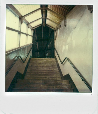 Polaroids - Der Zufall regierte