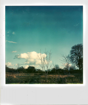 Polaroids - Der Zufall regierte