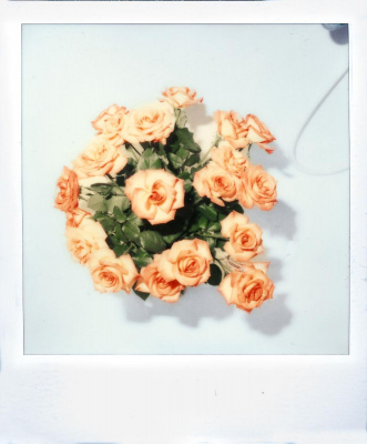 Polaroids - Der Zufall regierte