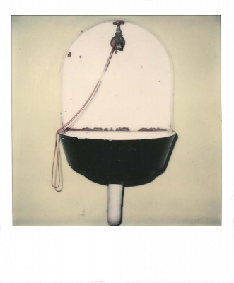 Polaroids - Der Zufall regierte