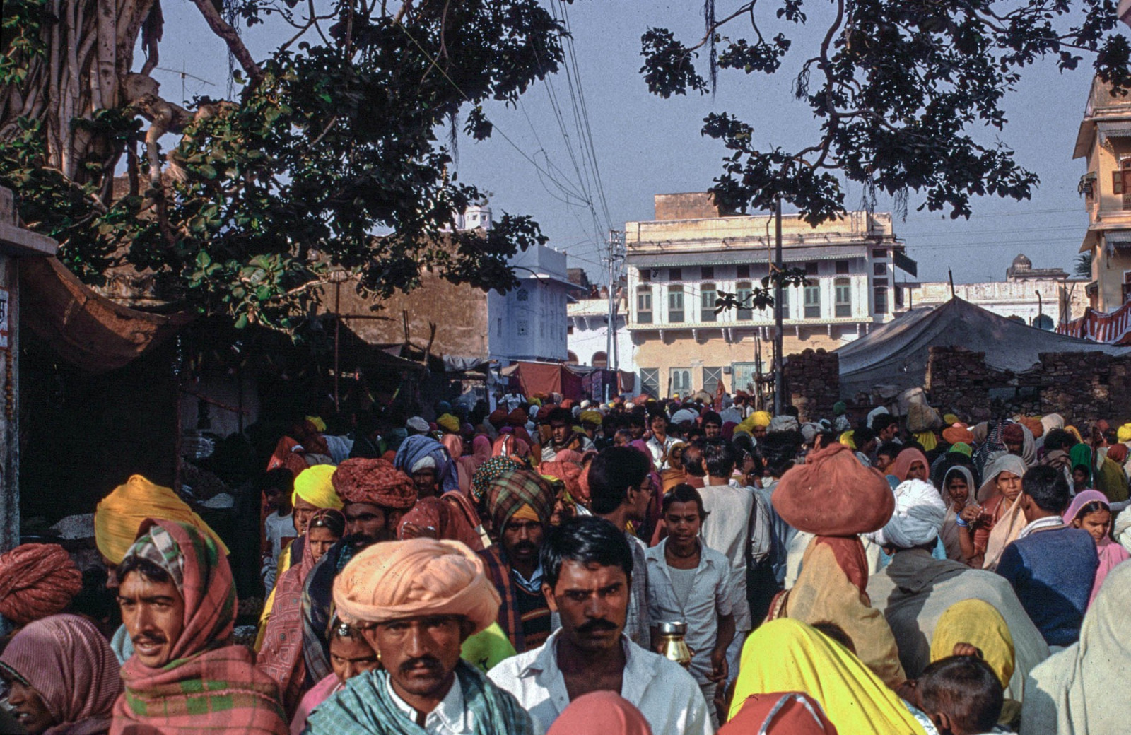 Kamelmarkt und Hindu-Fest in Pushkar