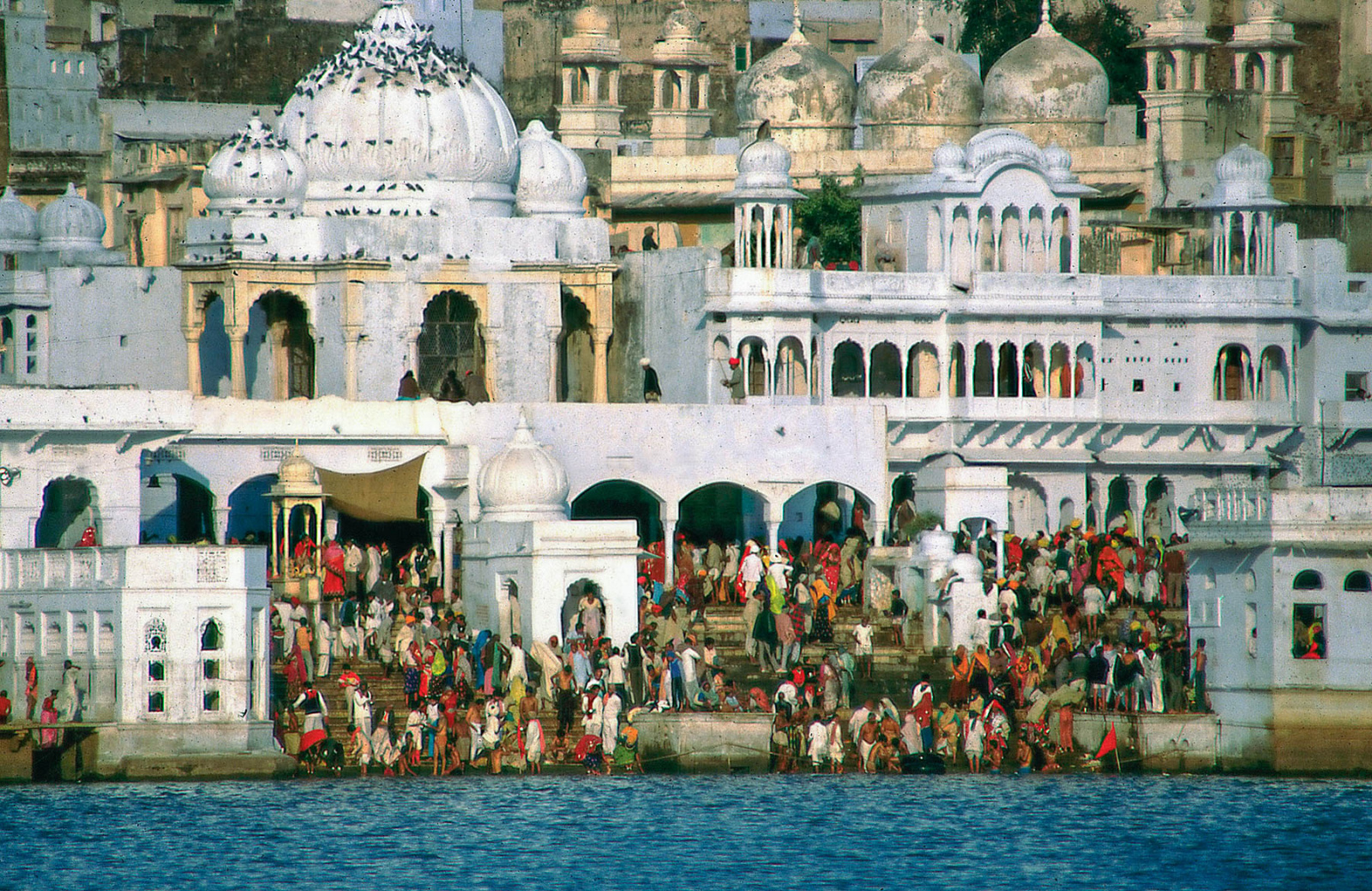 Kamelmarkt und Hindu-Fest in Pushkar