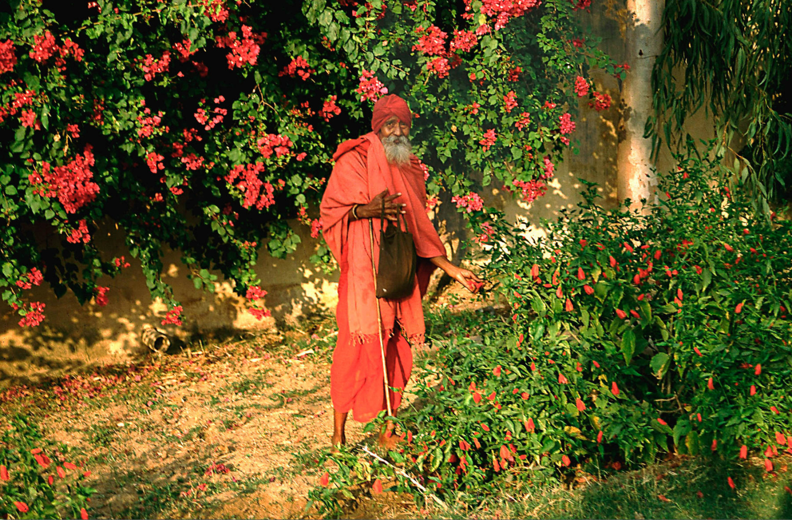 Kamelmarkt und Hindu-Fest in Pushkar