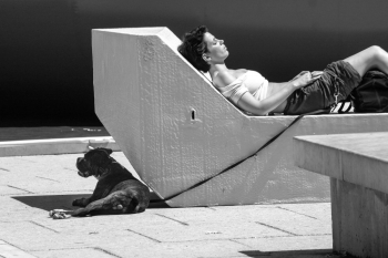 Wiener Straßen erzählen Geschichten