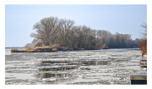 Anhaltender Frost lässt die Elbe bei Geesthacht vereisen