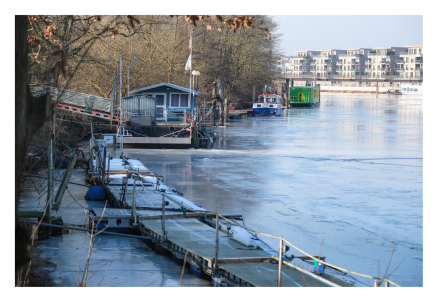 Anhaltender Frost lässt die Elbe bei Geesthacht vereisen
