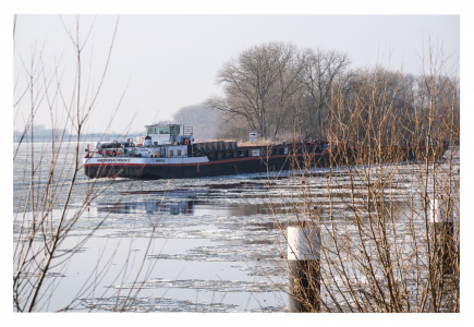Anhaltender Frost lässt die Elbe bei Geesthacht vereisen